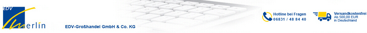 Merlin Logo
